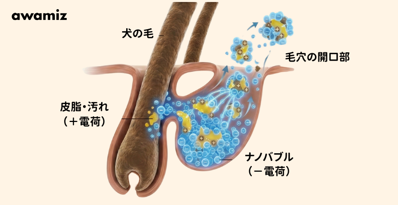 ウルトラファインバブル,awamiz,ナノバブル,UFB DUAL
